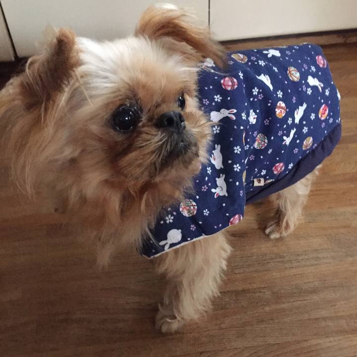 3c4d32b8 d389 47c9 8e72 acd5c9defec3