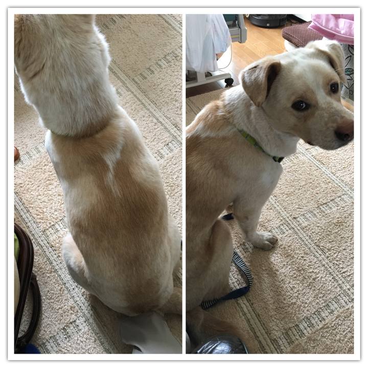 3c4d511c adf1 4186 aba6 dedff006174b