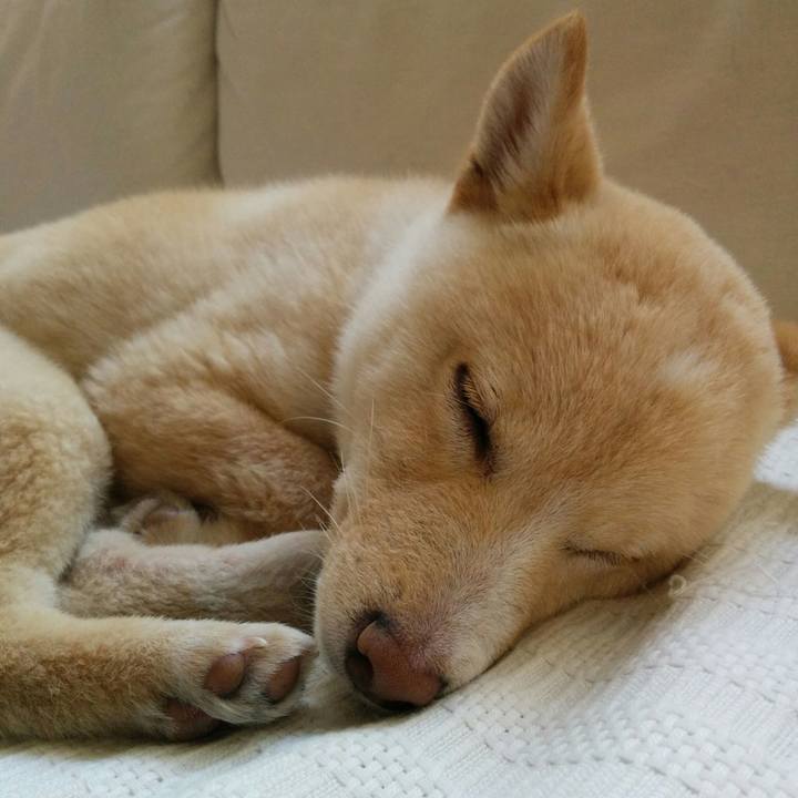 3c4ec6b5 79df 4848 a8b9 a285960fa426