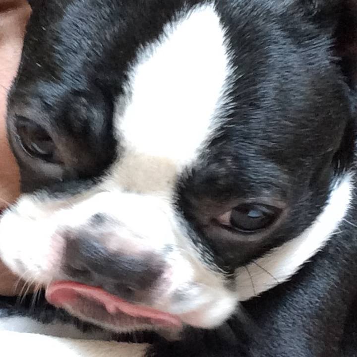 3c4f1792 4c21 4430 8f42 c75e7178d0fe