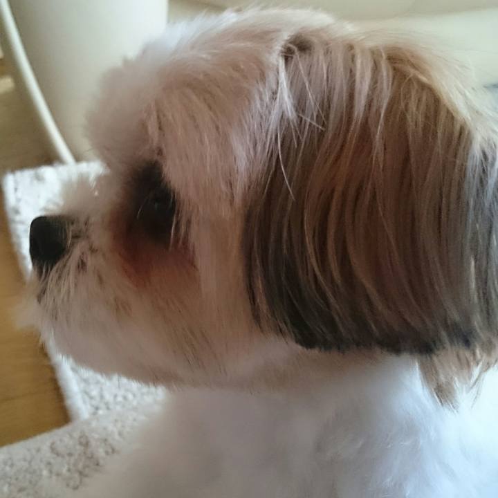 3c4f262a d124 423a b060 3553da2a0e10