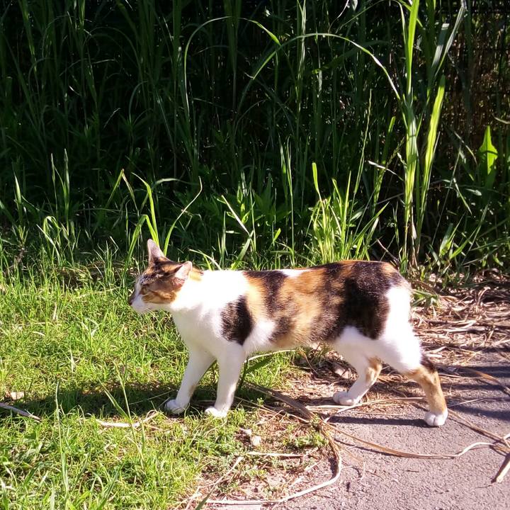 3c4f8e3a a1af 48ce af0f d494fc968a71