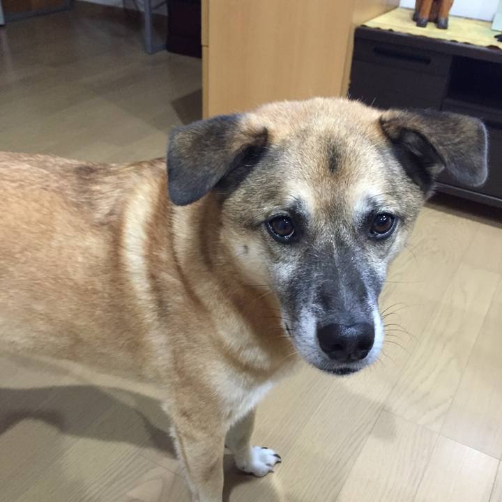 3c4ff9d0 2a94 443e 992c 59860a749197