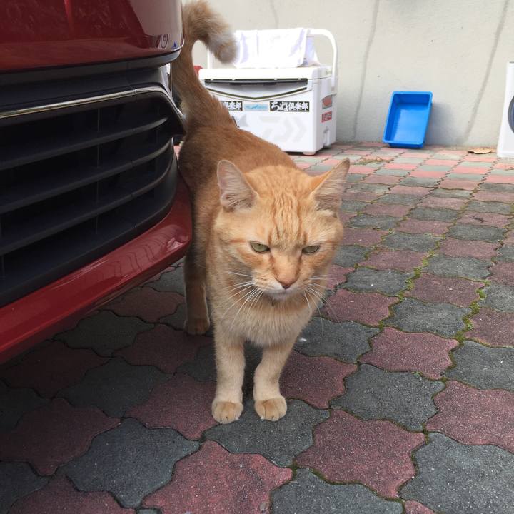 3c50781f b3ce 41e9 b27b e3a35399fd52