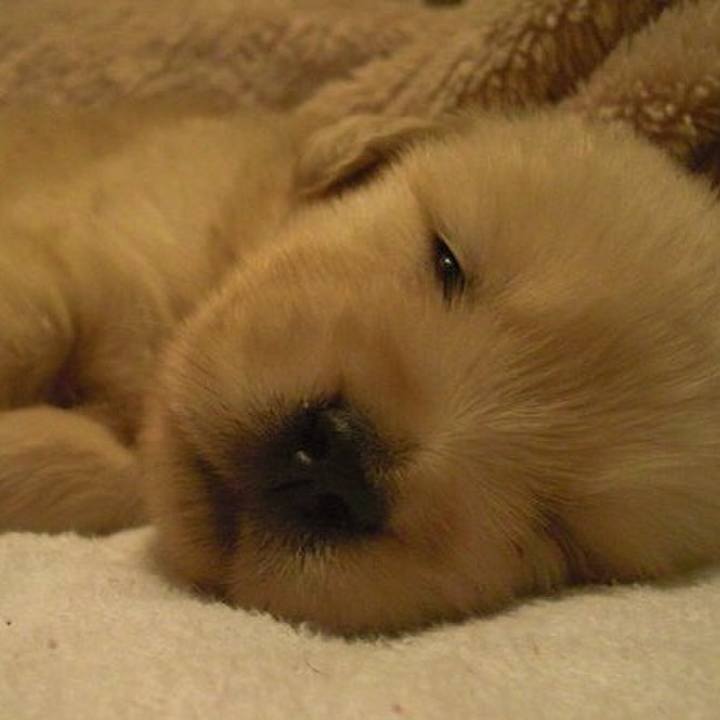 3c50c171 057d 407e b837 4c597d4c7f78