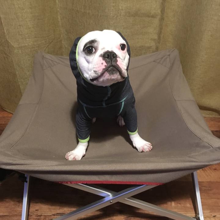 3c517014 cddb 4ce7 92af ca9d4b0e03c6