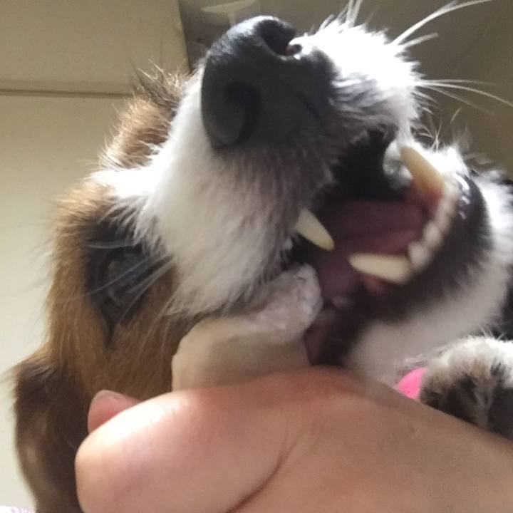 3c519d8b 773b 4f61 9dce 1feb778132f5