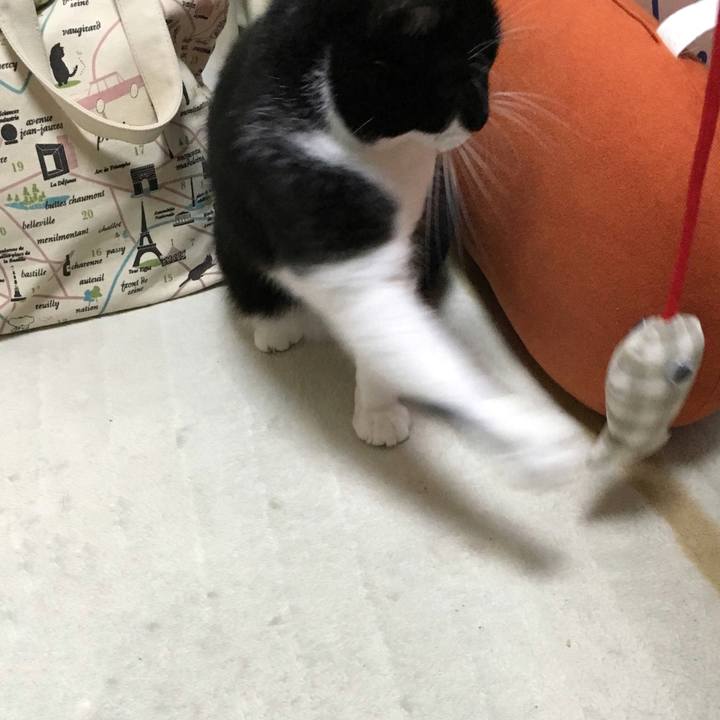 3c51d9cc 637a 49f6 95f2 77d0c7375363