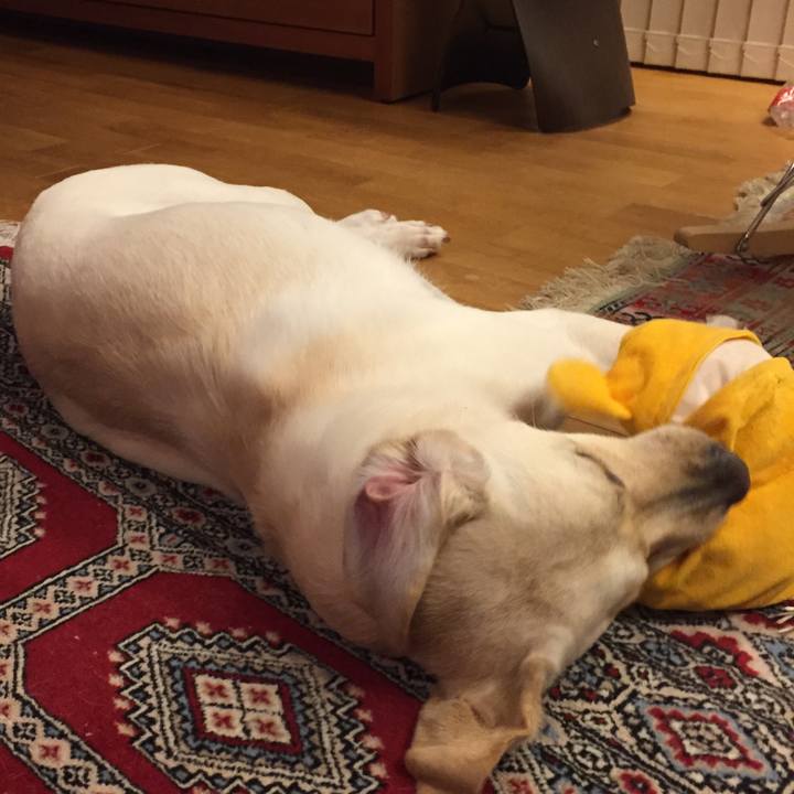 3c51fea6 6831 4f66 94ac fc0fe5faac9e