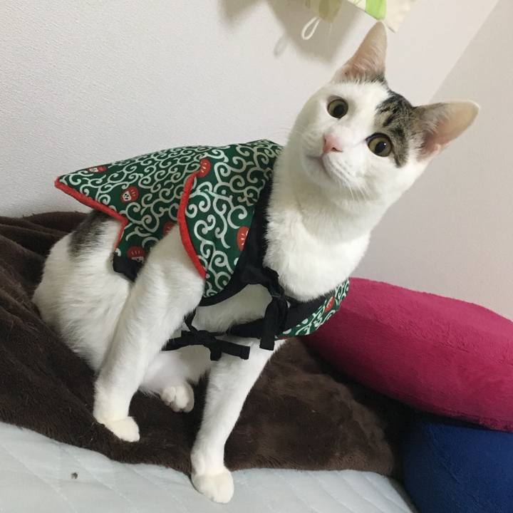 3c520331 3f62 40a6 9f6f a066481fbf92