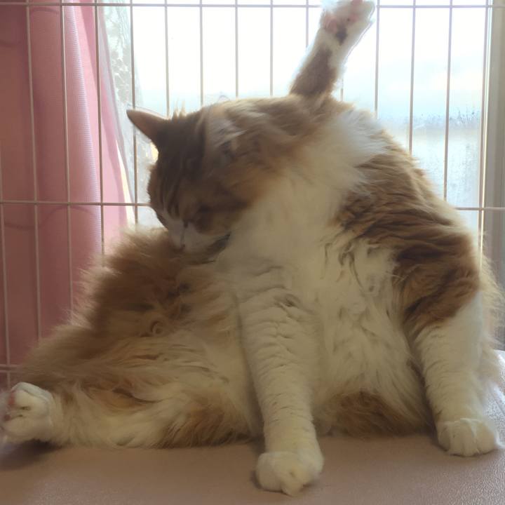 3c520ccc 37e5 47c1 8130 5841ef70bf13