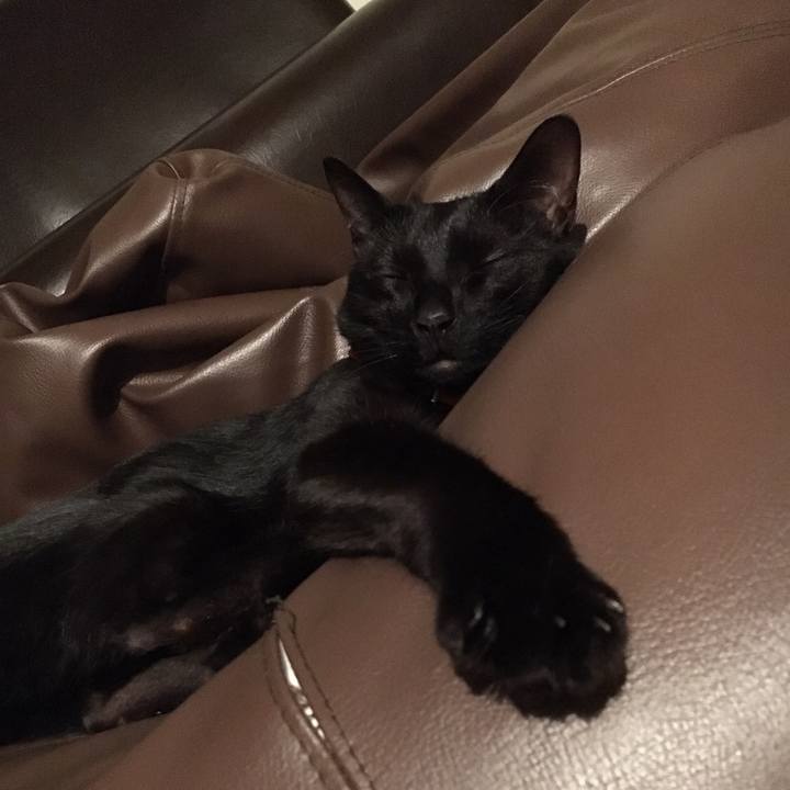 3c526a6d 837a 4fdd b904 e8984f122e6f