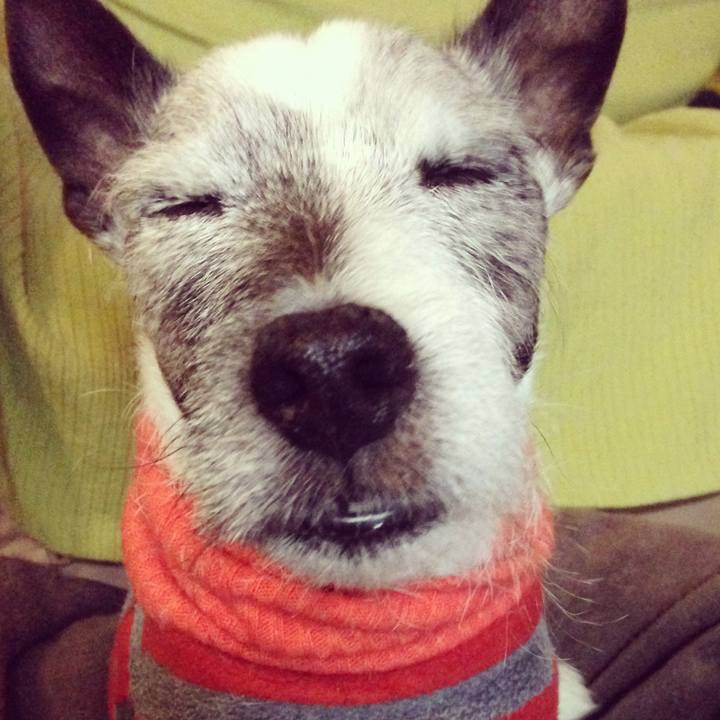 3c52e3a2 79bc 48c3 bd89 47bf16d7e04f