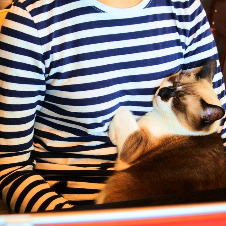 3c539c89 87a8 4c8e 82a1 ecc24d5dc4d6