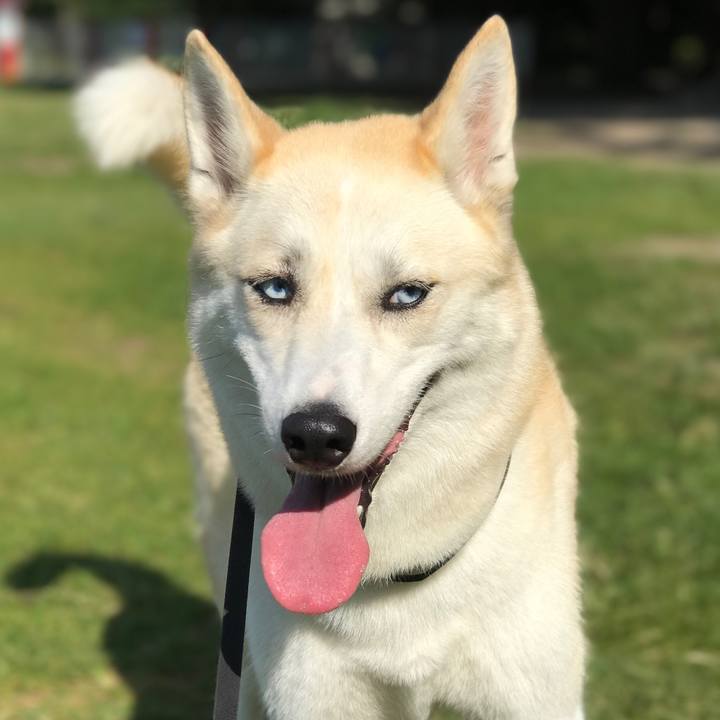 3c55168e 6ed7 4edf a583 f1004bf1b7f6