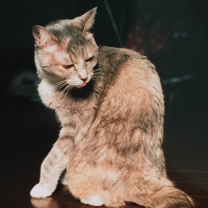 3c555578 be1f 46f8 8c85 d7749760fc28