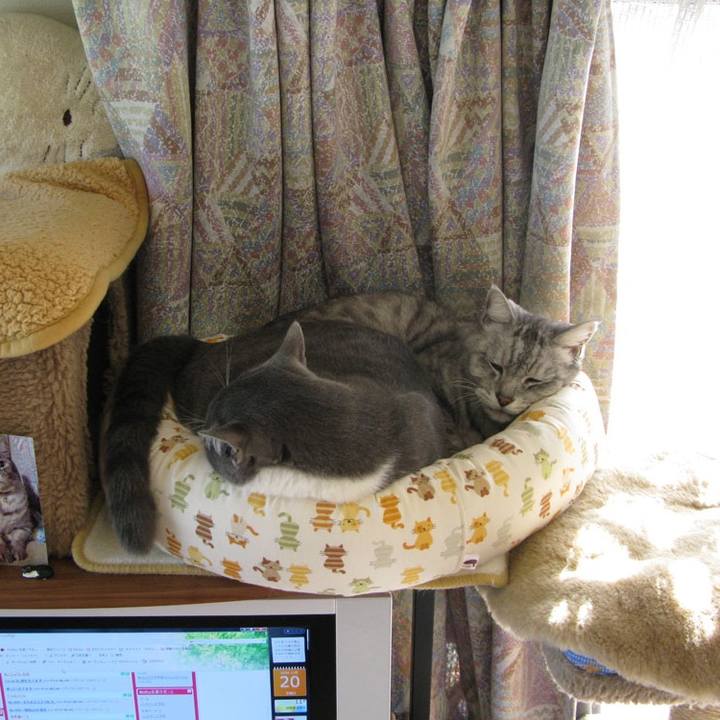 3c557b47 e2d8 4144 a5c3 cd31b4bd2c27