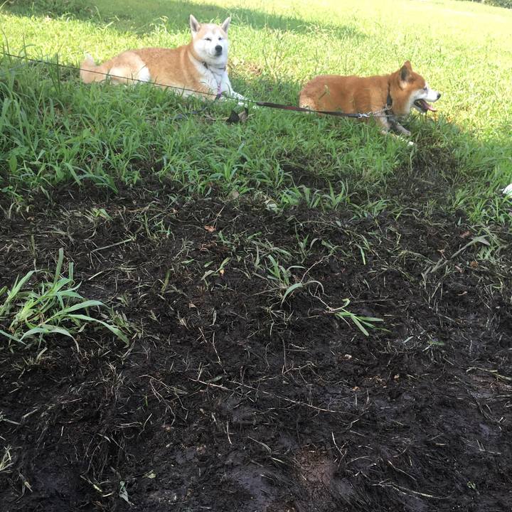 3c55f1e3 288e 4b33 ae86 031364976ad6