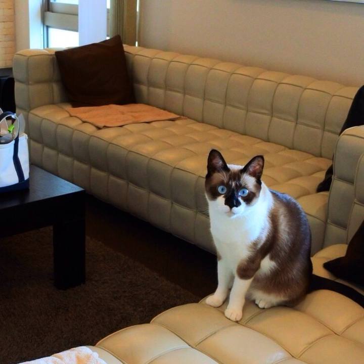 3c56091e c7a5 4937 9730 67da9feece32