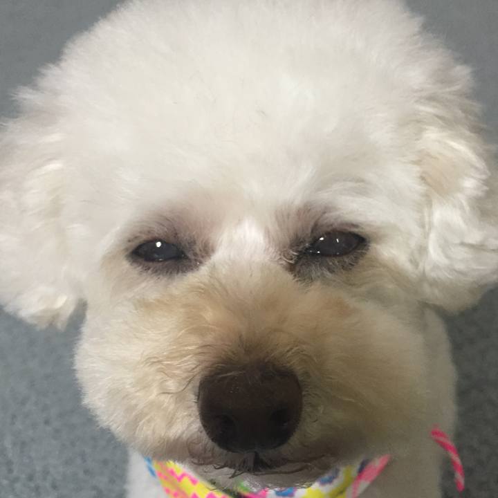 3c561fc0 1171 4049 a7f4 ecc0489a6c92