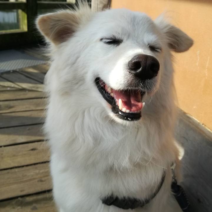 3c56be76 8811 47f4 9cfd a34ae6fed488