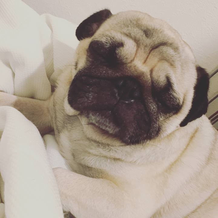 3c572c6b c679 4a6d 905f 852b768d6172