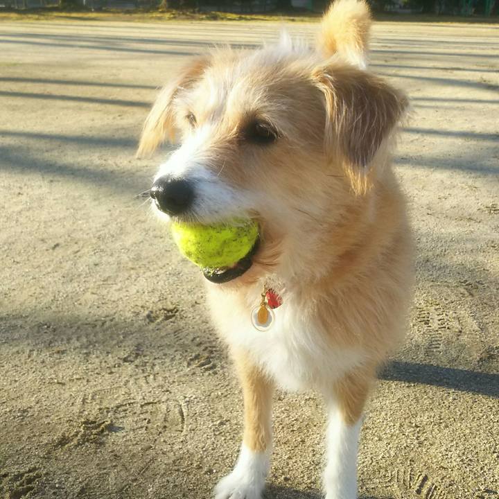 3c578721 ea85 4023 a55b f3a9a23809d1