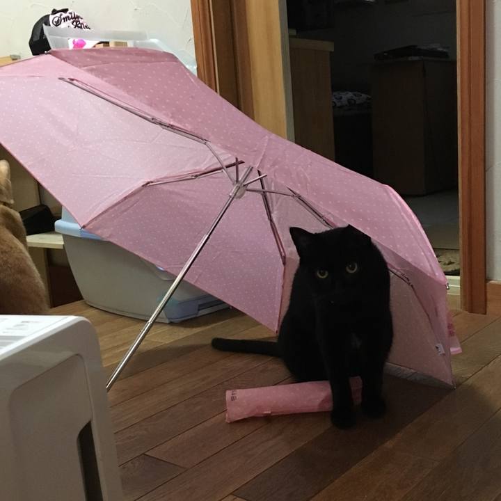 3c581485 2a45 4af7 9564 46b3469e268b