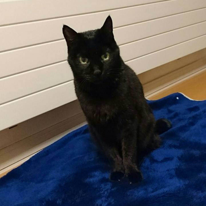 3c58653a 9ac2 43d8 85ca 109dc3758ff0