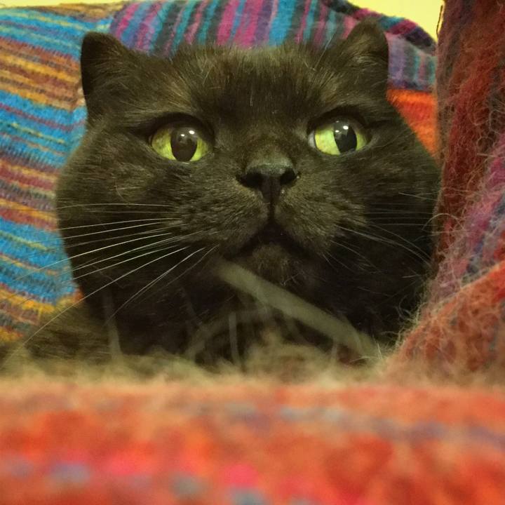 3c595af2 ec79 4bc6 bd5b e736d84dba06