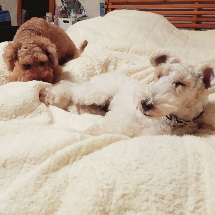 3c5af4cb d126 4134 9b1d aeecce866198