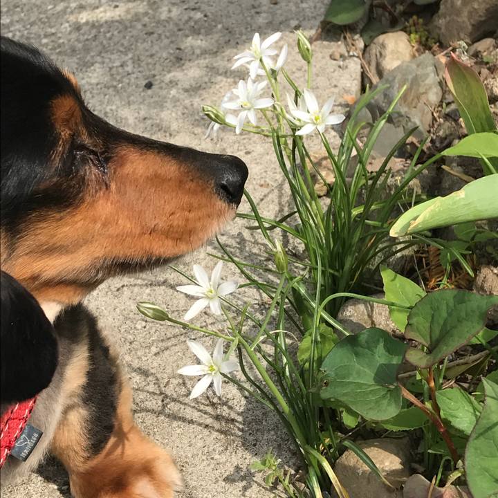 3c5b579a 8940 4842 a791 4ff320187121