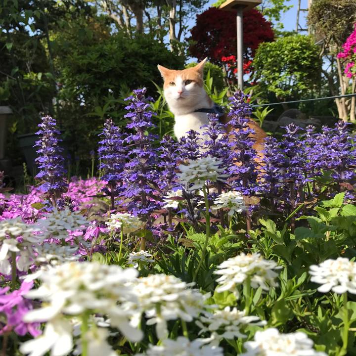 3c5b7281 ad63 4974 8e63 2b79a2149490