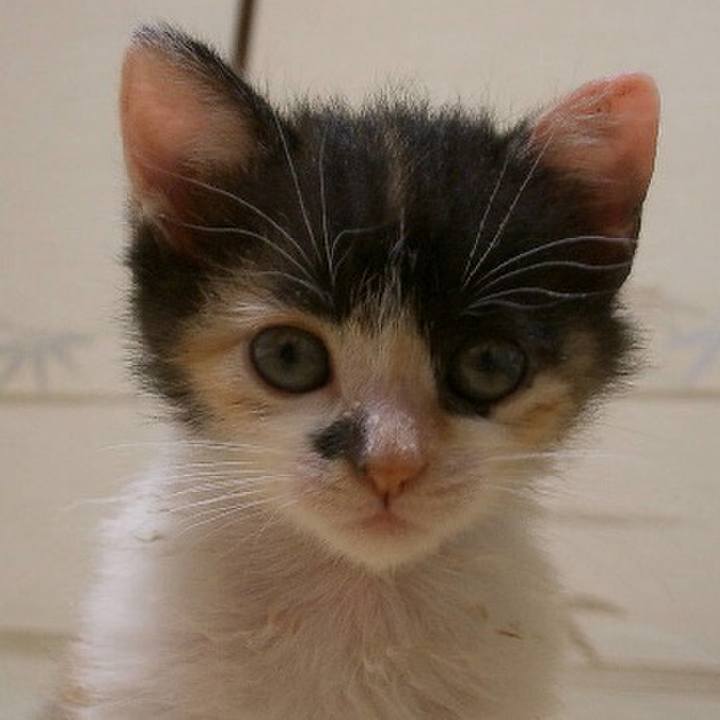 3c5ba9fd 3c8f 4838 afed e9a2c15215f7