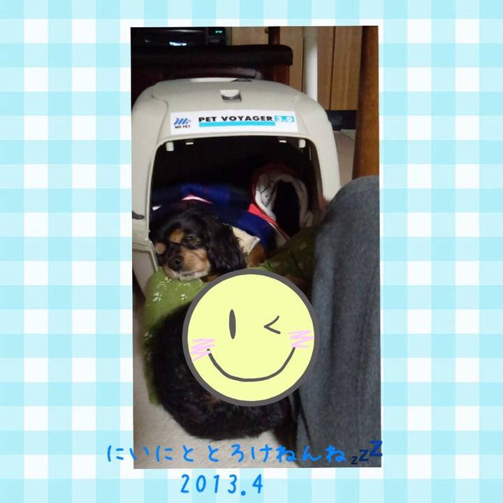 3c5c3ab3 c6da 4a46 9614 3e46665c4a3f