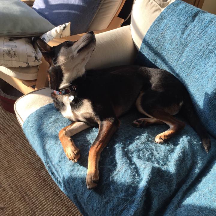 3c5d2a67 e7a5 4085 9873 d997d62a8f36