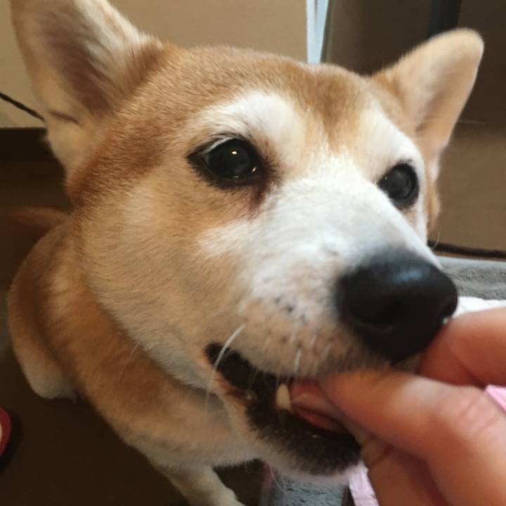 3c5d8c3b 28c5 4442 875b 586debc99a9a