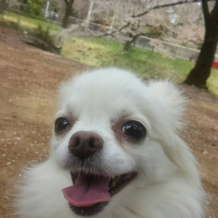 3c5e01d9 697d 4c26 a6bf b32a830db849