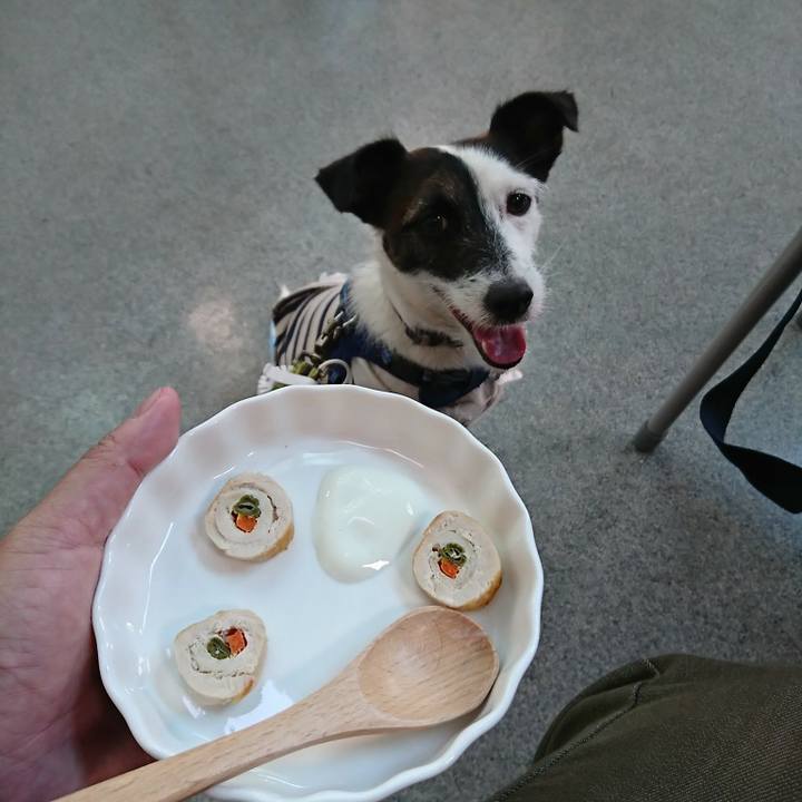 3c5e0639 1b04 41e0 88d4 0d15b52fabd6