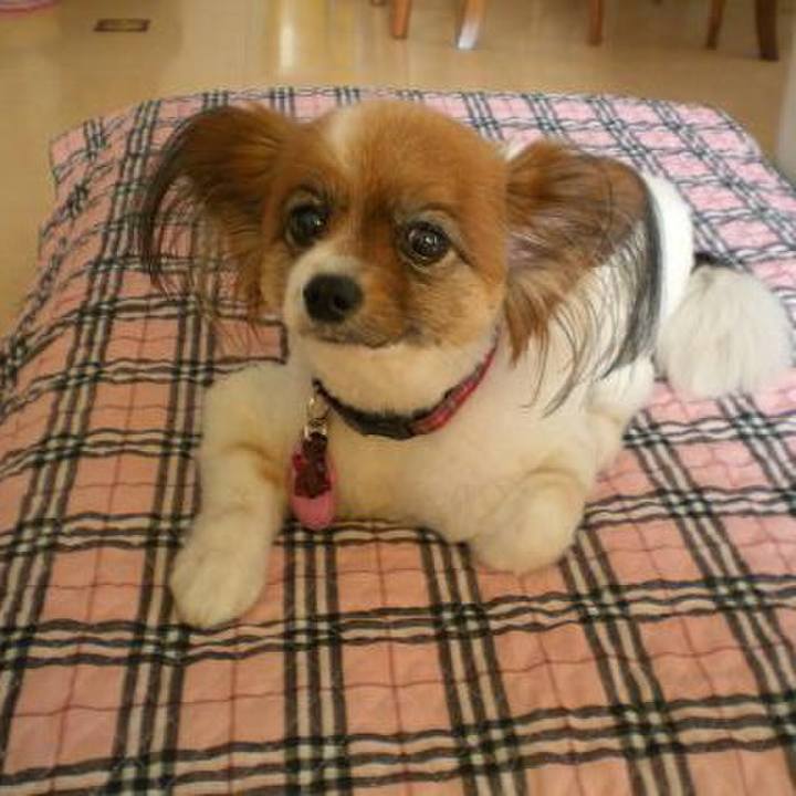 3c5eed9f c0df 4dd4 a90d dcf3e3677fb5