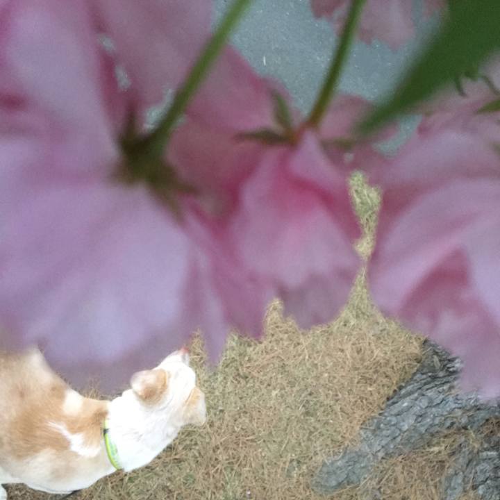 3c5f3305 ce3b 4f26 b2fd d285985b6bcd