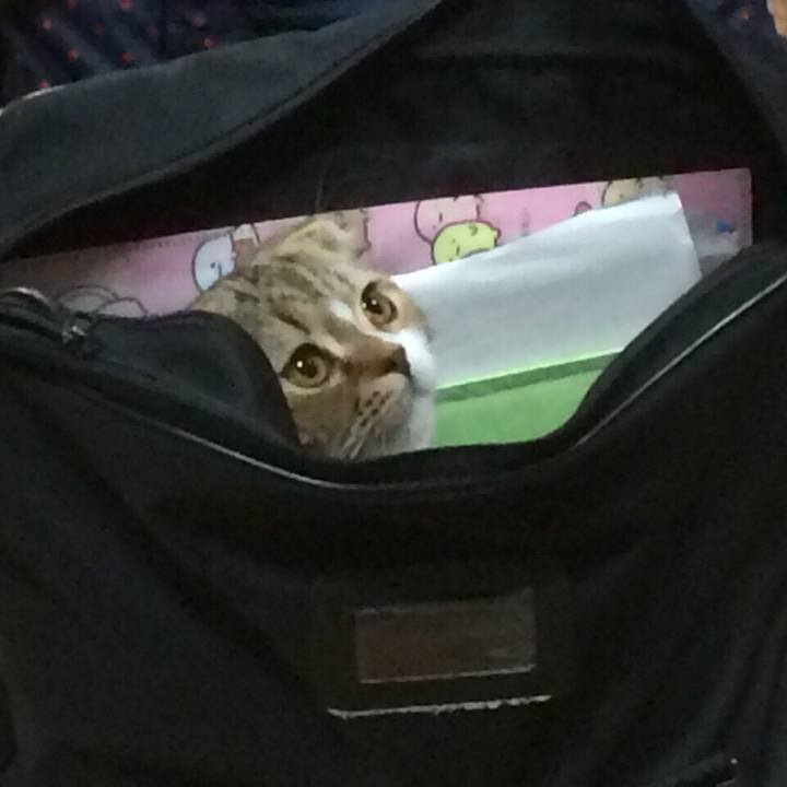 3c5f4633 5e33 4fd6 8e1a 56bc3f51d9e7