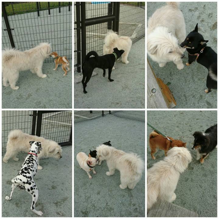 3c60527d 31da 4c32 b556 9d430abd20bf