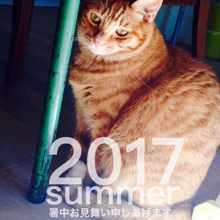 3c60f21f ab16 4adf ba56 416292a29ffb