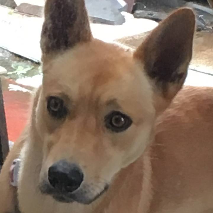 3c612f81 af2a 4a00 99ed 10ae692e8d85