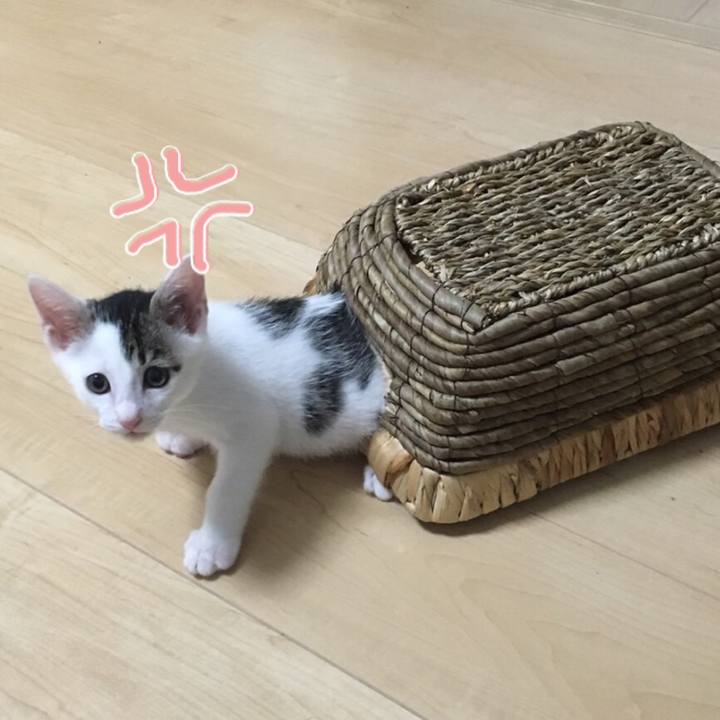 3c61704b b860 4978 b59a a9622ad29c9e