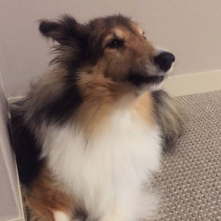 3c61afd9 7e43 48c1 936a 5b381b891448