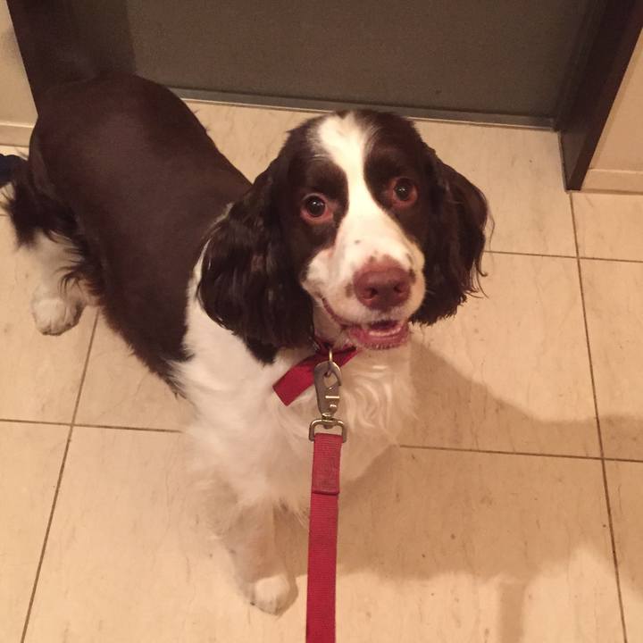 3c61bbcb 8d41 40d8 9dfc 4b74110dc800