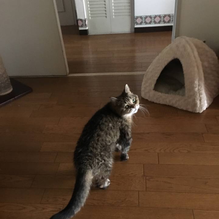 3c625478 4540 4402 a393 80bcea36aeb6