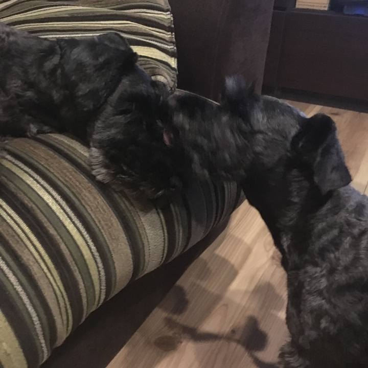 3c628bf0 0cb0 4425 b8e8 a6f7af3267e8